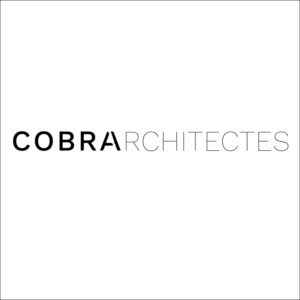 logo cobra architecture